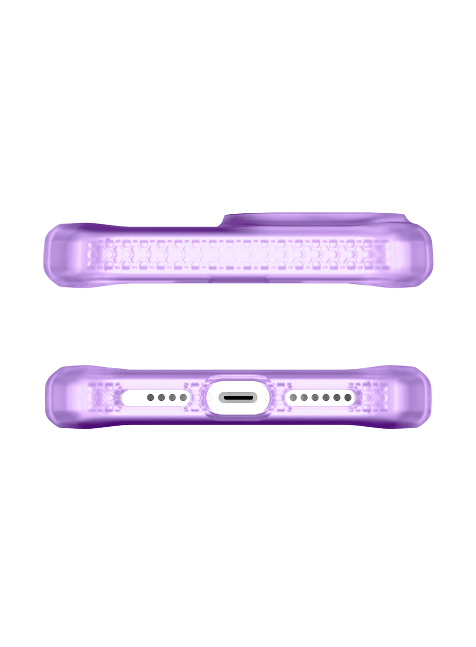 ap2r-spmfr-lipp