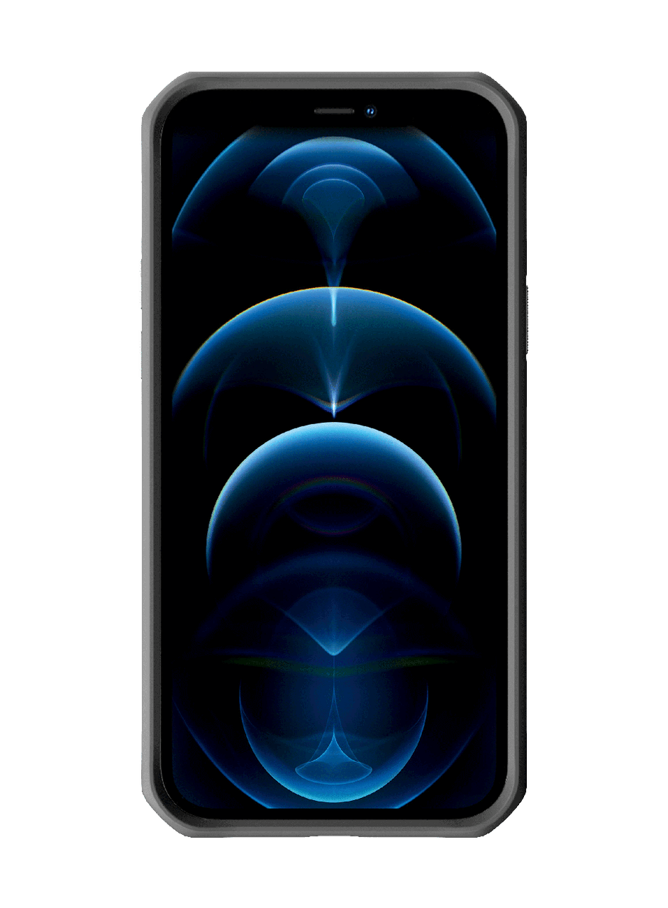 ap4p-hybfs-gry1